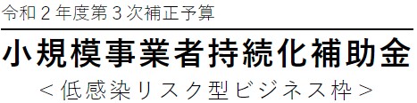 持続化補助金 低感染リスク型ビジネス枠